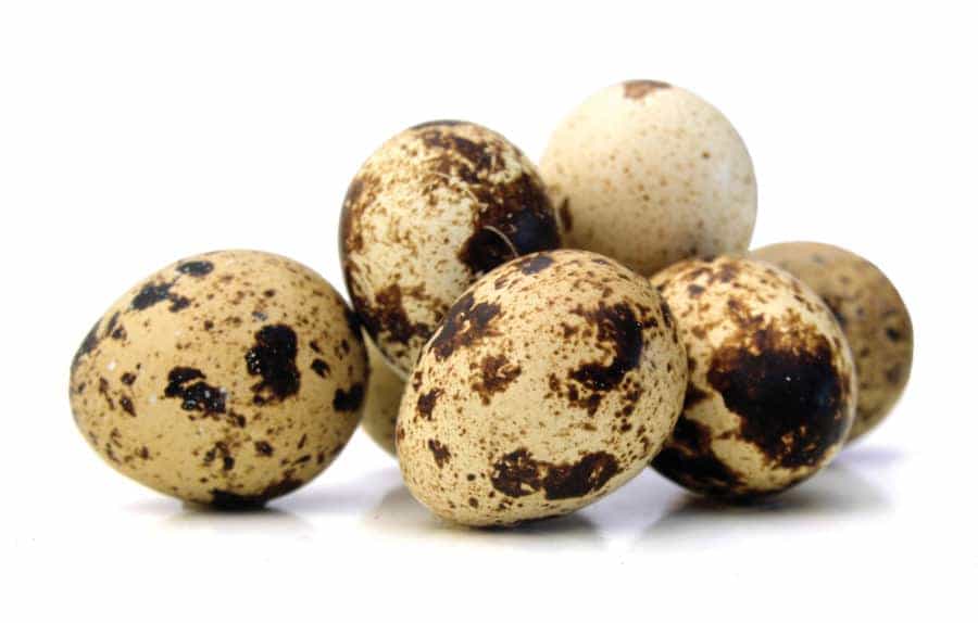 Properties of quail eggs for health and strengthening the body