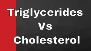 What is the main difference between cholesterol and triglycerides?