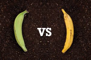 properties and benefits of Plantains and how they differ from bananas