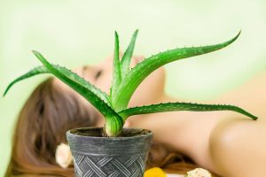 What is aloe vera oil, and what are its properties?