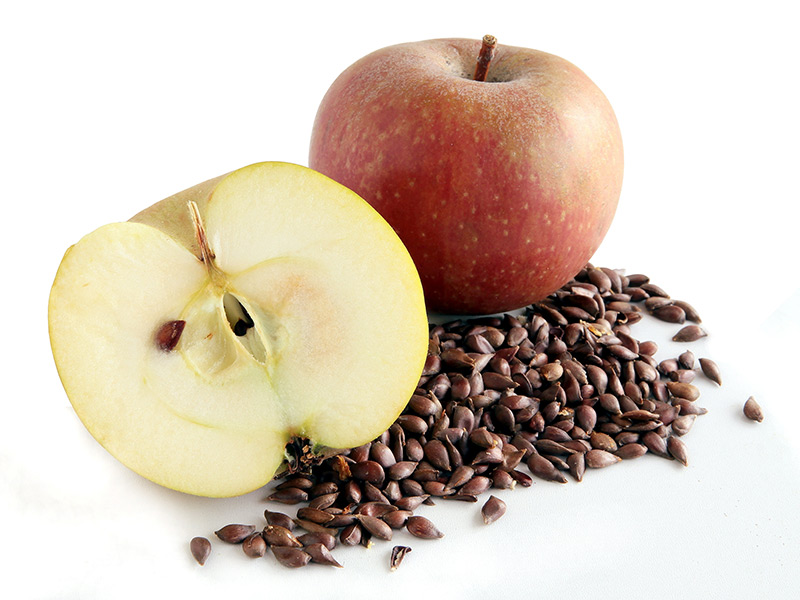 Properties of apple seed oil for health and beauty
