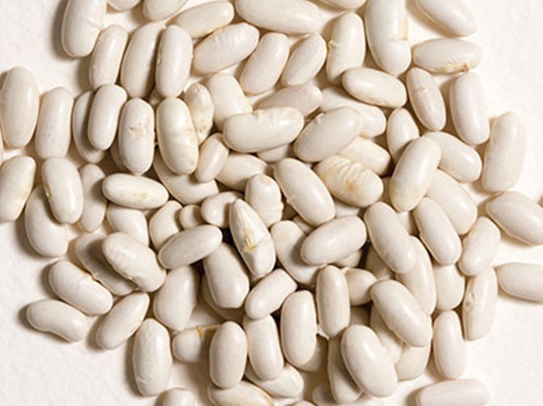 what-are-white-beans-its-properties-and-benefits-for-the-body