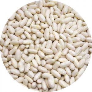 What are White Beans? Its properties and benefits for the body