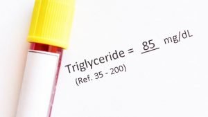 What is the main difference between cholesterol and triglycerides?