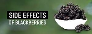 Medicinal properties of blackberry fruit