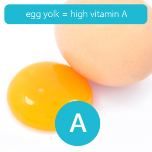 Learn more about the properties and benefits of eggs