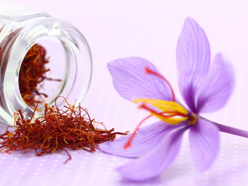 Comprehensive Insights into the Properties and Benefits of Saffron