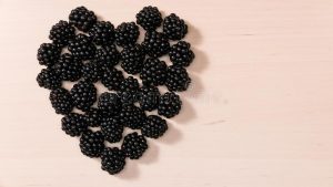 Medicinal properties of blackberry fruit