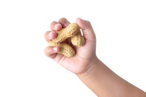 All the properties, benefits, and harms of peanuts