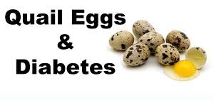 Properties of quail eggs for health and strengthening the body