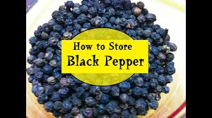 Black pepper and its properties for treating diseases