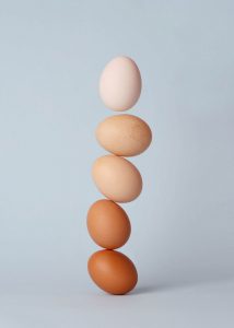 Learn more about the properties and benefits of eggs