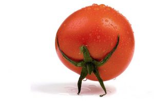 properties, benefits, and nutritional value of tomatoes