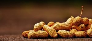 All the properties, benefits, and harms of peanuts