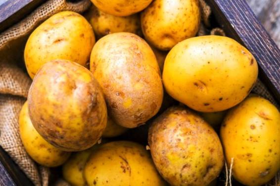 All the properties, benefits, and side effects of potatoes for health and beauty