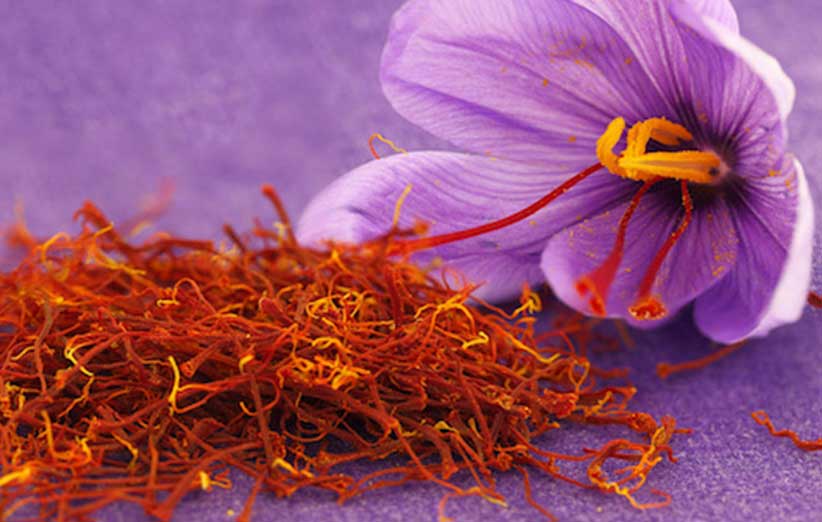 10 unique properties of saffron for skin, hair, and health