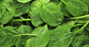 Benefits of spinach for skin, hair, and disease treatment