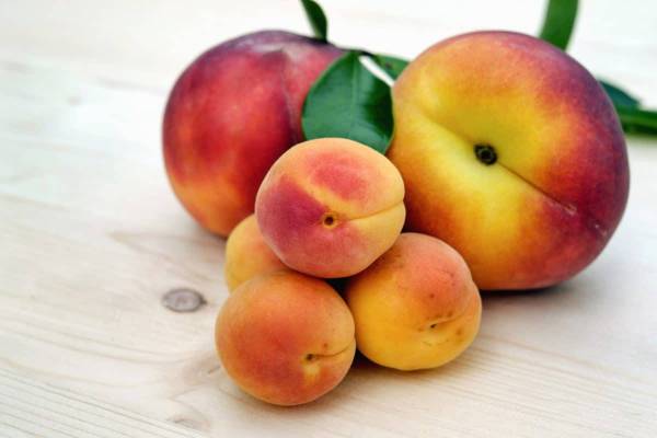 peach fruit properties on skin beauty, treatment of diseases, and slimming