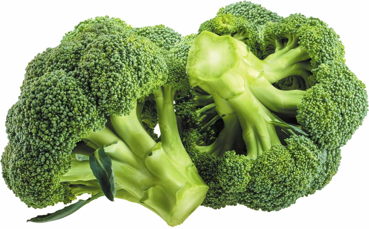 Unique and proven properties of broccoli