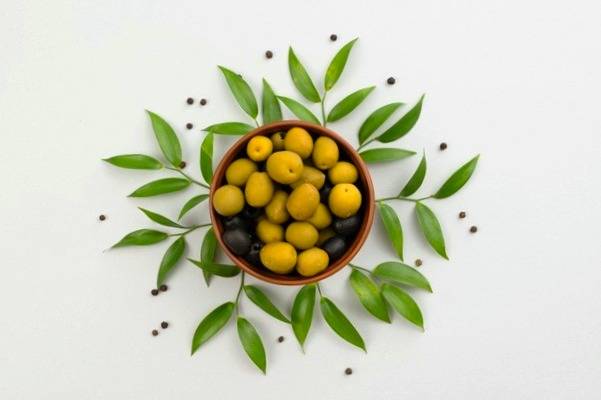 Investigate the properties and benefits of olives for body health