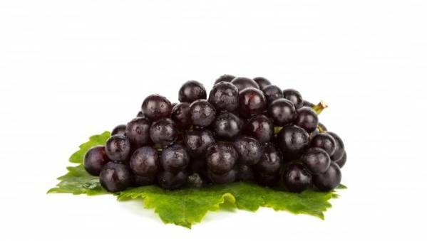 All the properties and benefits of grapes for health and beauty