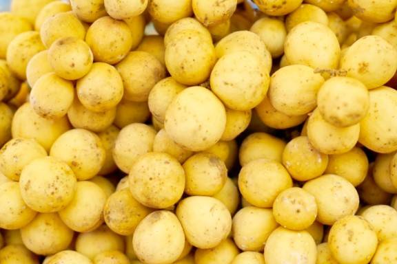 All the properties, benefits, and side effects of potatoes for health and beauty