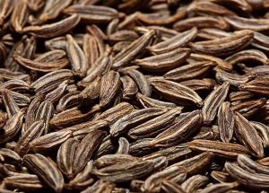 Therapeutic properties and benefits of Black cumin?