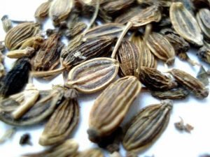 Therapeutic properties and benefits of Black cumin?