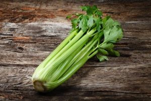 Useful tips about the properties of celery that you should know
