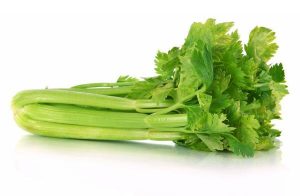Useful tips about the properties of celery that you should know