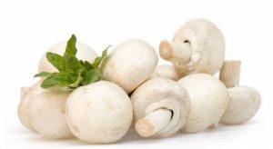 What are the benefits of eating mushrooms for the body?