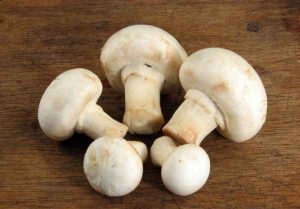 What are the benefits of eating mushrooms for the body?