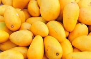 Properties of mango for health, skin, and hair, and pregnancy