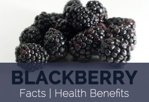 Properties of blackberry and its benefits for beauty