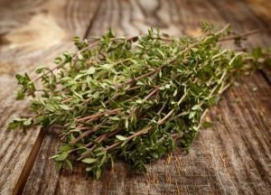 Properties and benefits of thyme for the treatment of diseases