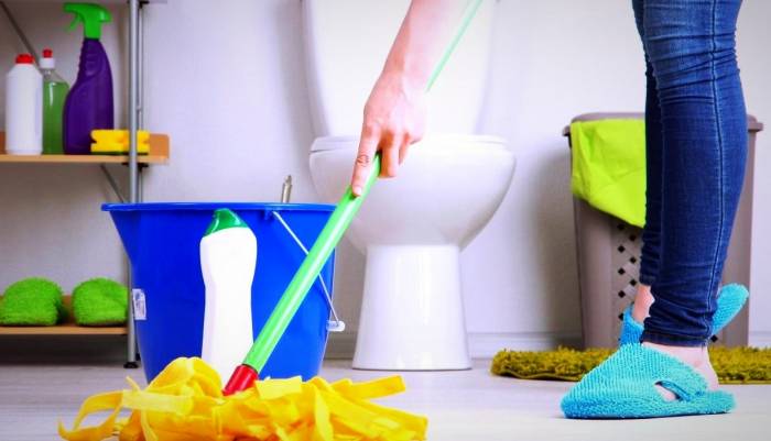 How to clean the bathroom and toilet properly