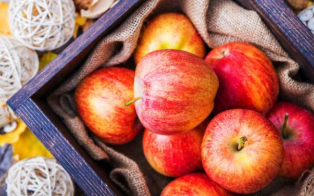 Properties of apple for health, beauty, and treatment