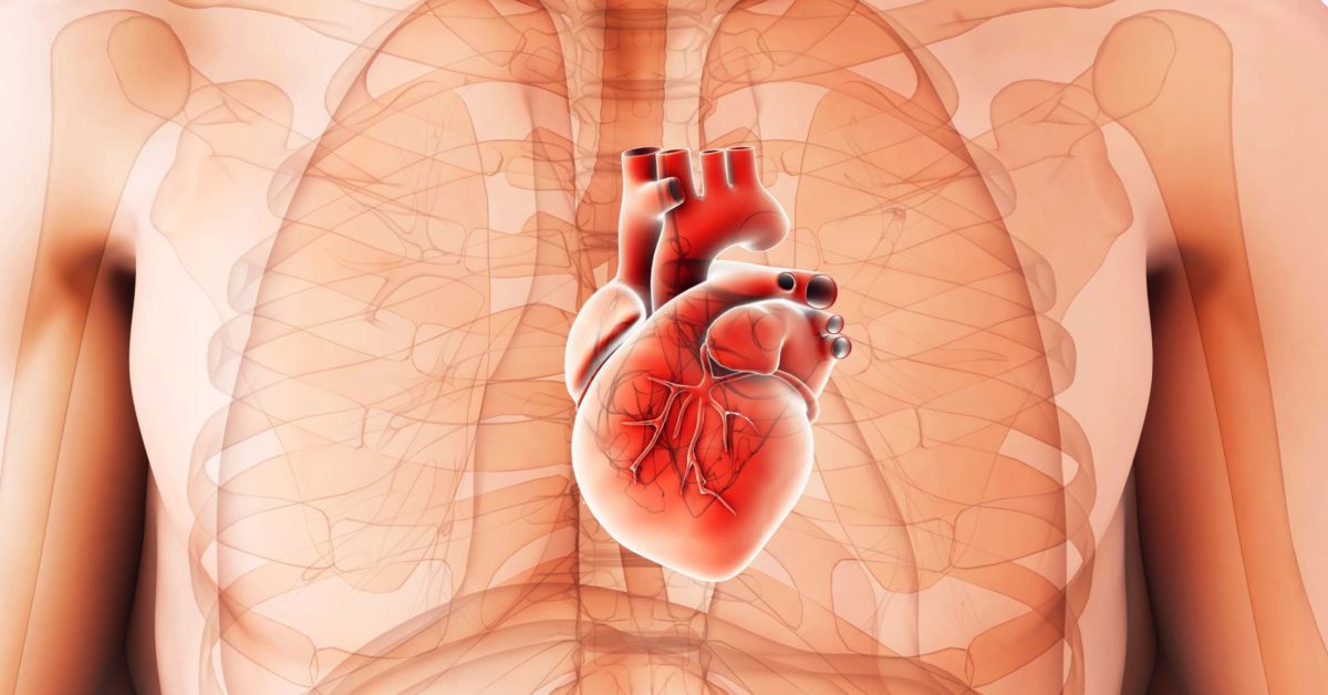 The most important causes of an enlarged heart