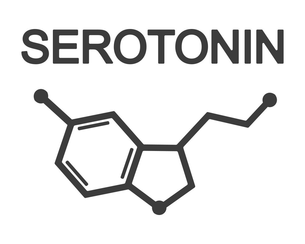 The importance of serotonin and its symptoms in the body