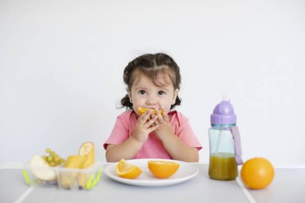 2 year old child diet plan