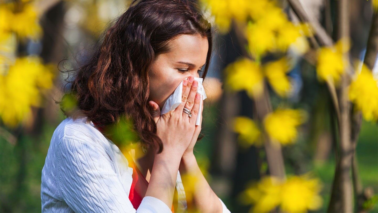 what-are-the-symptoms-of-spring-allergy-and-what-is-the-treatment