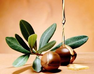 Argan oil for regrowth of shed hair