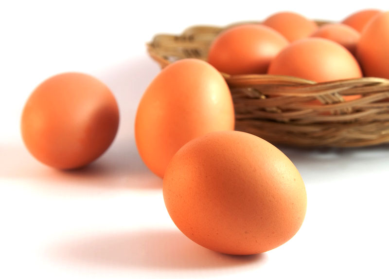 Ten properties of eggs for children's health