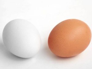 Ten properties of eggs for children's health