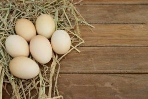 Ten properties of eggs for children's health