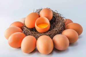 Ten properties of eggs for children's health