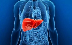 Everything about liver disease and its symptoms and types