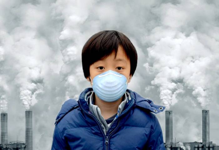 Adverse effects of air pollution on the brain