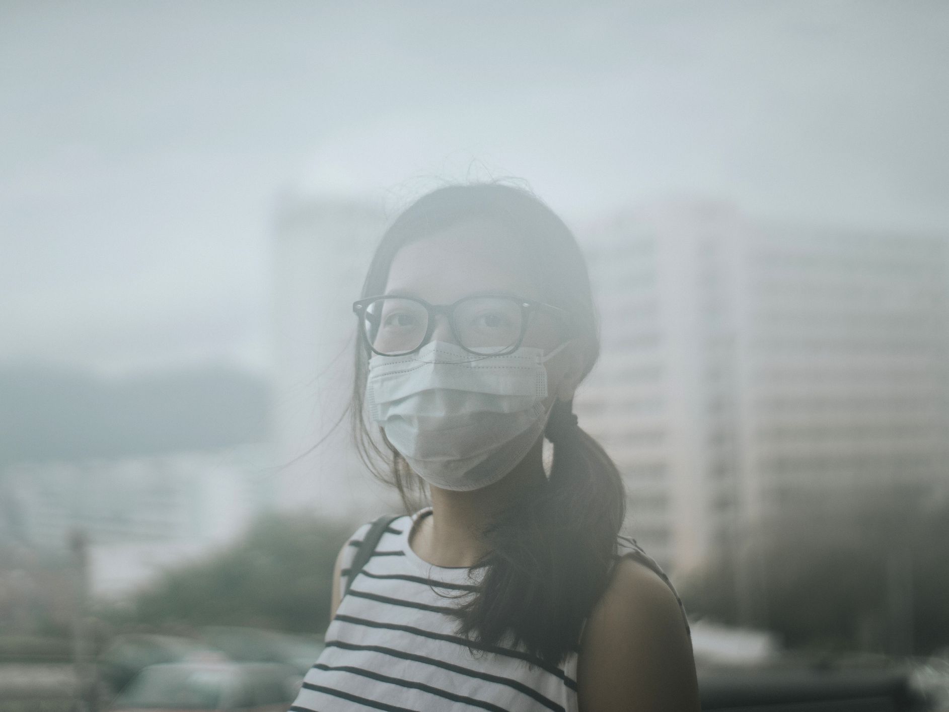 Adverse effects of air pollution on the brain