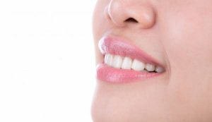 Investigate the main cause of dental plaque